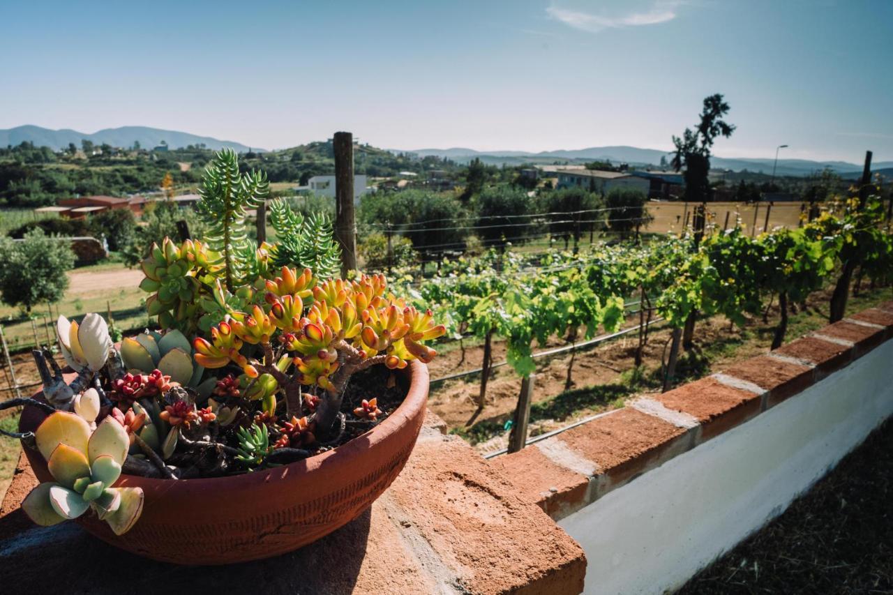 Quinta Sofia Valle De Guadalupe (Adults Only) Exterior photo